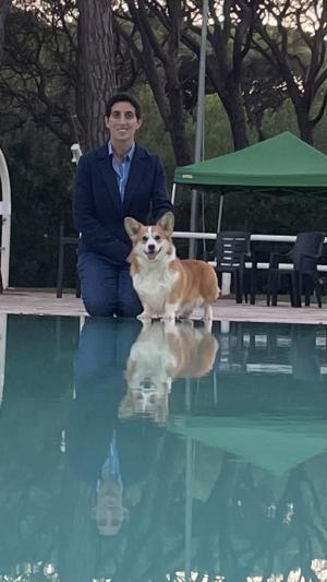Cuccioli di Corgi in allevamento a Novara