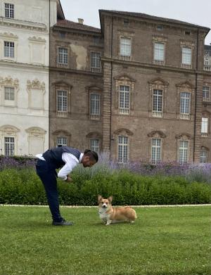 Cuccioli di Corgi in allevamento a Novara